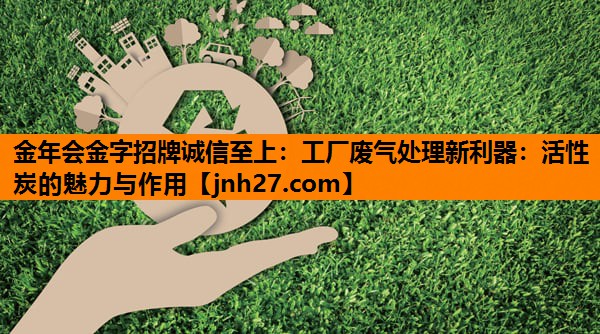 金年会金字招牌诚信至上：工厂废气处理新利器：活性炭的魅力与作用