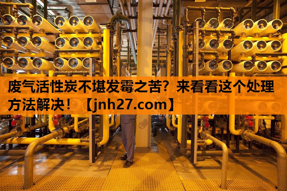 废气活性炭不堪发霉之苦？来看看这个处理方法解决！