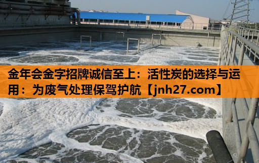 金年会金字招牌诚信至上：活性炭的选择与运用：为废气处理保驾护航