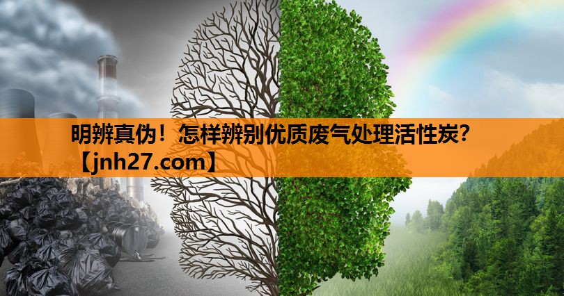 明辨真伪！怎样辨别优质废气处理活性炭？