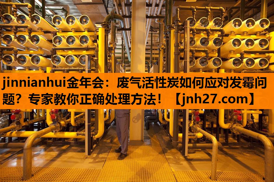 jinnianhui金年会：废气活性炭如何应对发霉问题？专家教你正确处理方法！