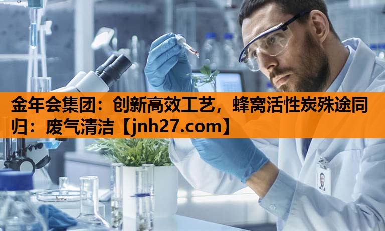 金年会集团：创新高效工艺，蜂窝活性炭殊途同归：废气清洁