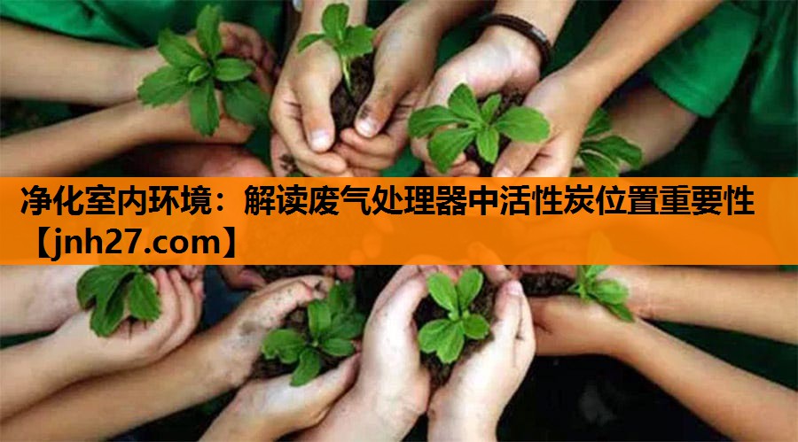 净化室内环境：解读废气处理器中活性炭位置重要性