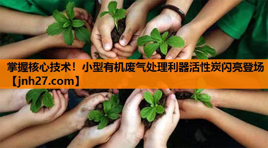 掌握核心技术！小型有机废气处理利器活性炭闪亮登场