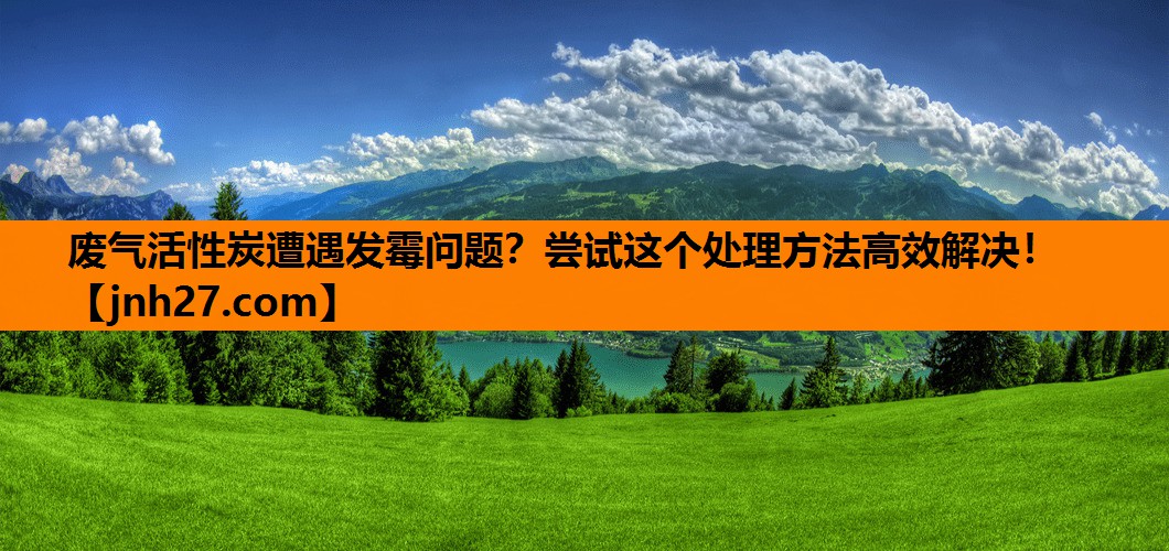 废气活性炭遭遇发霉问题？尝试这个处理方法高效解决！