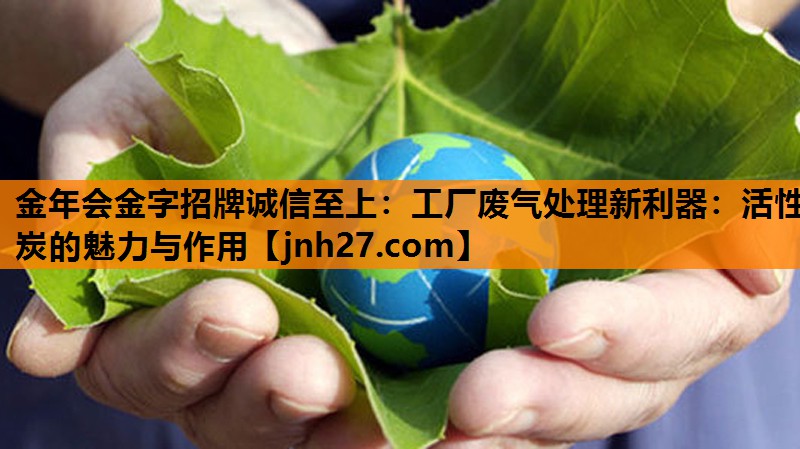 工厂废气处理新利器：活性炭的魅力与作用
