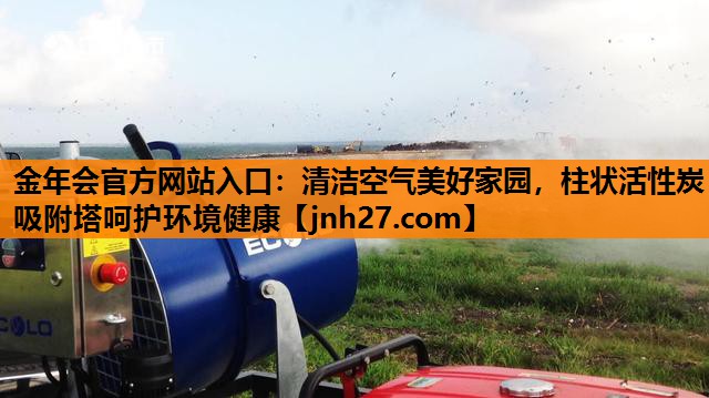清洁空气美好家园，柱状活性炭吸附塔呵护环境健康