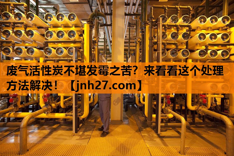 废气活性炭不堪发霉之苦？来看看这个处理方法解决！