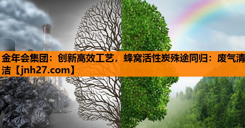 创新高效工艺，蜂窝活性炭殊途同归：废气清洁