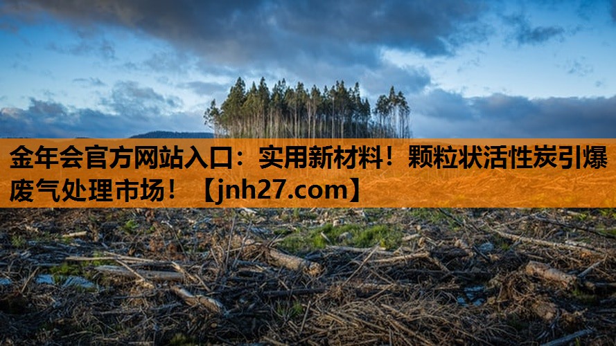 实用新材料!颗粒状活性炭引爆废气处理市场! 实用新材料!颗粒状活性炭引爆废气处理市场!