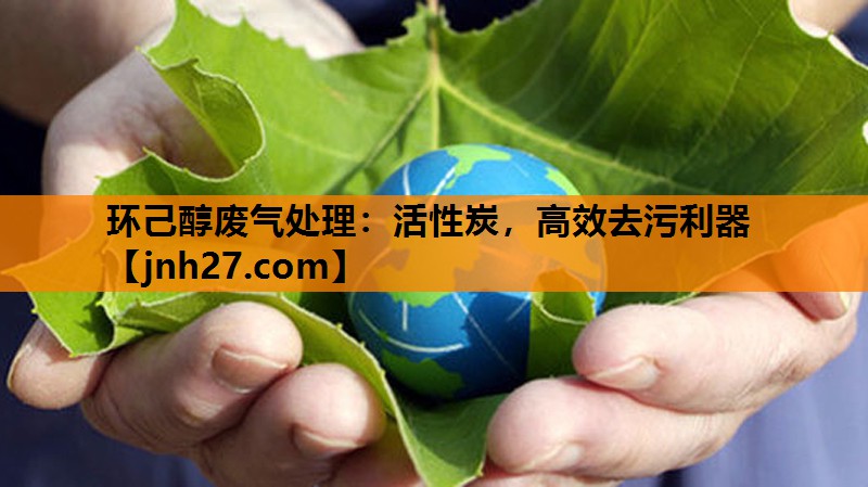 环己醇废气处理：活性炭，高效去污利器
