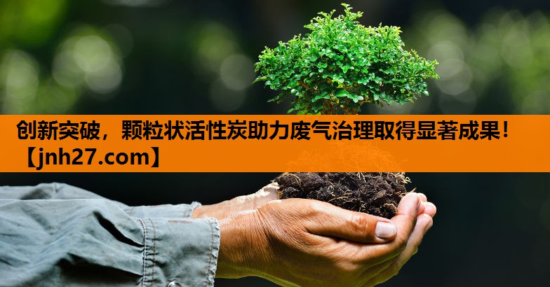 创新突破，颗粒状活性炭助力废气治理取得显著成果！