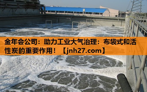 助力工业大气治理：布袋式和活性炭的重要作用！