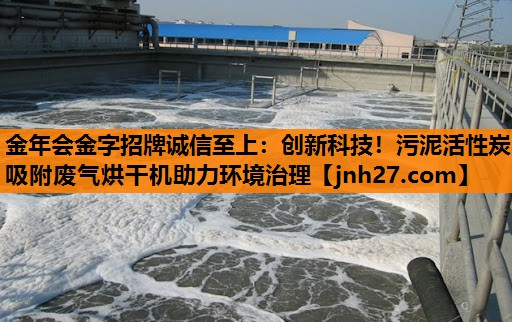 创新科技！污泥活性炭吸附废气烘干机助力环境治理