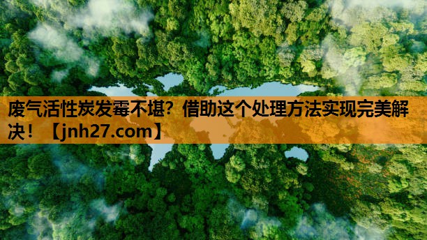 废气活性炭发霉不堪？借助这个处理方法实现完美解决！
