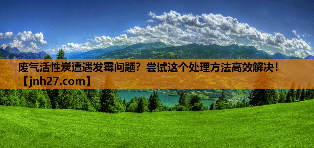 废气活性炭遭遇发霉问题？尝试这个处理方法高效解决！
