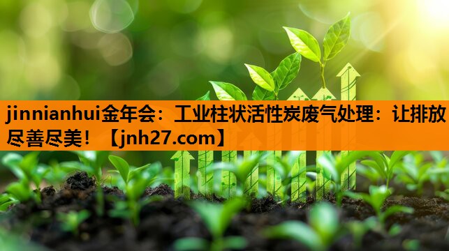 工业柱状活性炭废气处理：让排放尽善尽美！