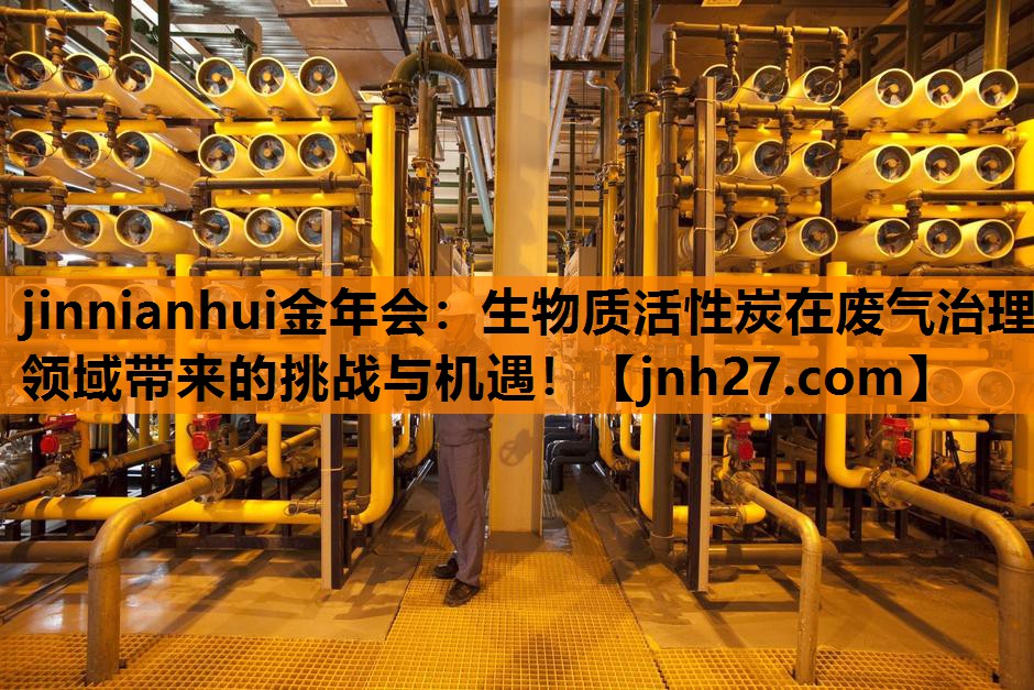 生物质活性炭在废气治理领域带来的挑战与机遇！
