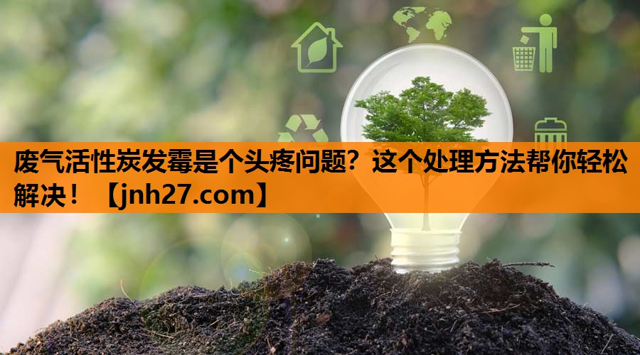 废气活性炭发霉是个头疼问题？这个处理方法帮你轻松解决！