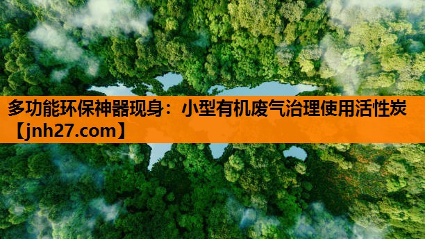 多功能环保神器现身：小型有机废气治理使用活性炭