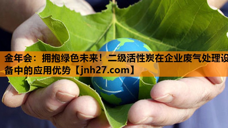 拥抱绿色未来！二级活性炭在企业废气处理设备中的应用优势