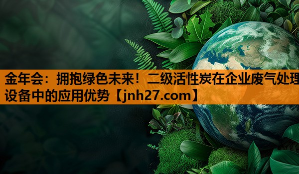 拥抱绿色未来！二级活性炭在企业废气处理设备中的应用优势